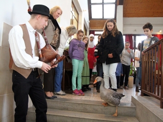 Márton-napi libafuttatás és más vigasságok a Széchenyiben - fotó: Sándor Judit