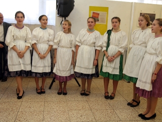 Márton-napi libafuttatás és más vigasságok a Széchenyiben - fotó: Sándor Judit