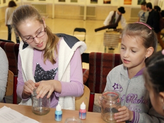 Márton-napi libafuttatás és más vigasságok a Széchenyiben - fotó: Sándor Judit