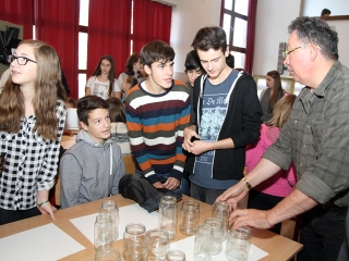 Márton-napi libafuttatás és más vigasságok a Széchenyiben - fotó: Sándor Judit