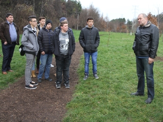 Faültetés a Kádár-völgyben - fotó: Sándor Judit