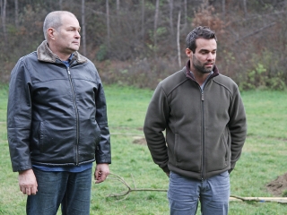 Faültetés a Kádár-völgyben - fotó: Sándor Judit