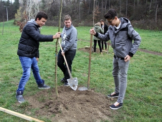 Faültetés a Kádár-völgyben - fotó: Sándor Judit
