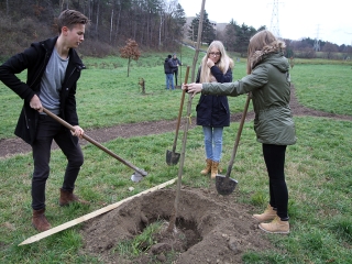 Faültetés a Kádár-völgyben - fotó: Sándor Judit