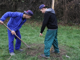 Faültetés a Kádár-völgyben - fotó: Sándor Judit