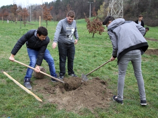 Faültetés a Kádár-völgyben - fotó: Sándor Judit