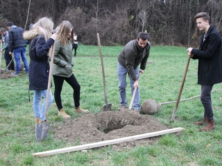 Faültetés a Kádár-völgyben - fotó: Sándor Judit