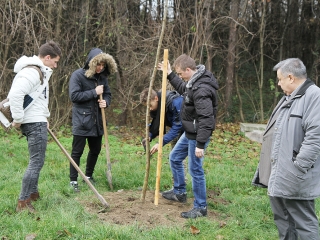 Faültetés a Kádár-völgyben - fotó: Sándor Judit