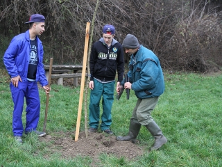 Faültetés a Kádár-völgyben - fotó: Sándor Judit