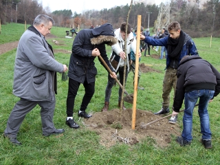 Faültetés a Kádár-völgyben - fotó: Sándor Judit