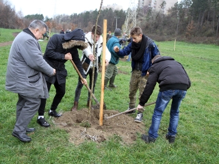 Faültetés a Kádár-völgyben - fotó: Sándor Judit