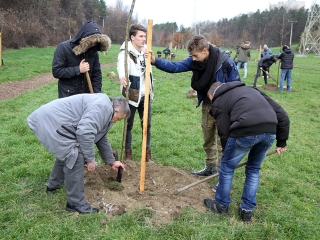 Faültetés a Kádár-völgyben - fotó: Sándor Judit