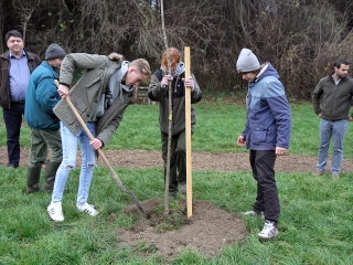 Faültetés a Kádár-völgyben - fotó: Sándor Judit