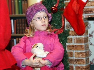 Coca-Cola Karácsonyi Karaván - Dunaújváros, 2015 - fotó: Sándor Judit