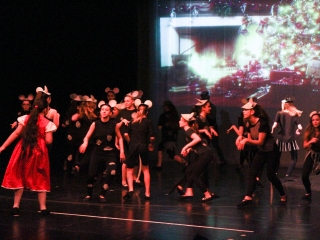 Gárdonyi Gála: Diótörő - fotó: Ónodi Zoltán