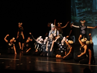 Gárdonyi Gála: Diótörő - fotó: Ónodi Zoltán