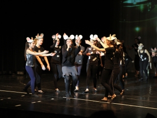 Gárdonyi Gála: Diótörő - fotó: Ónodi Zoltán