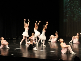 Gárdonyi Gála: Diótörő - fotó: Ónodi Zoltán