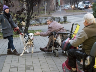 Mozgáskorlátozottak évzárója - fotó: Ónodi Zoltán