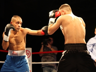 Bokszgála a sportcsarnokban - fotó: Sándor Judit