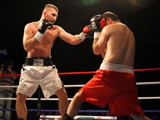 Bokszgála a sportcsarnokban - fotó: Sándor Judit