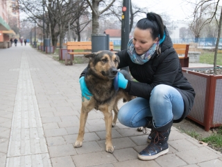 Római Advent: Ezüst Vasárnap - fotó: Ónodi Zoltán
