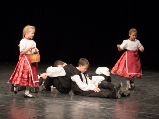 "Luca napja ma lészen" - Vasas néptánc gálaest - fotó: Ónodi Zoltán