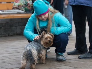 Aranyvasárnap - Advent és Ételosztás a Rómain - fotó: Ónodi Zoltán