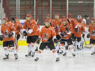 Jégkorong: DAB - Fehérvár AV19 - fotó: Ónodi Zoltán