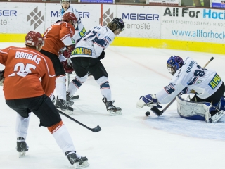 Jégkorong: DAB - Fehérvár AV19 - fotó: Ónodi Zoltán