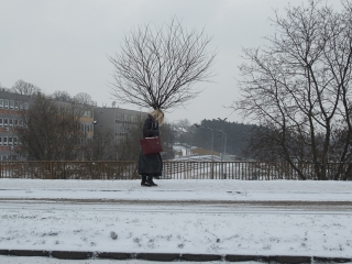 Hóhelyzet a városban - fotó: Ónodi Zoltán