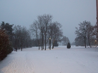 Ismét hólesen - Január 6. - fotó: Ónodi Zoltán