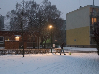Ismét hólesen - Január 6. - fotó: Ónodi Zoltán