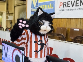 Kézilabda: DKKA- Siófok - fotó: Ónodi Zoltán