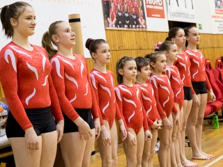 Kézilabda: DKKA- Siófok - fotó: Ónodi Zoltán