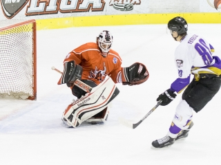 Dunaújvárosi Acélbikák - Újpest - fotó: Ónodi Zoltán