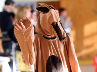 Vasvári iskola - Kenguru Kupa - fotó: Sándor Judit