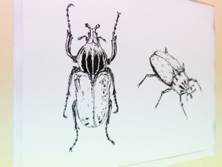 MMK galéria: Szőke Ivett kiállítás megnyitó - fotó: Ónodi Zoltán