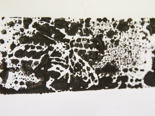 MMK galéria: Szőke Ivett kiállítás megnyitó - fotó: Ónodi Zoltán