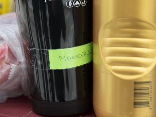 Yours Truly - Kitartó futók a Duna-parton - fotó: Ónodi Zoltán