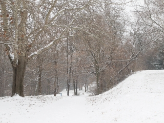 Yours Truly - Kitartó futók a Duna-parton - fotó: Ónodi Zoltán