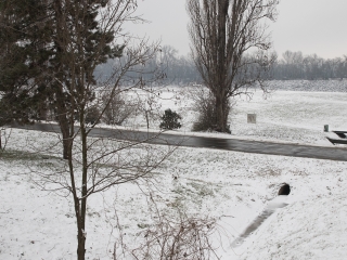Yours Truly - Kitartó futók a Duna-parton - fotó: Ónodi Zoltán