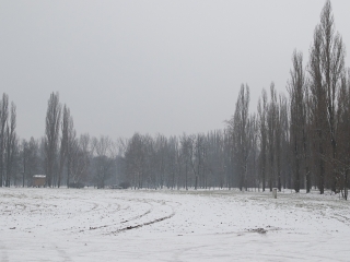 Yours Truly - Kitartó futók a Duna-parton - fotó: Ónodi Zoltán