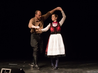 Gálaest - Művészek a Kórházért - fotó: Ónodi Zoltán