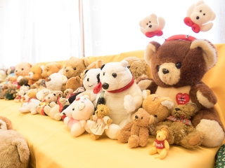 Mackó kiállítás a Mesevár óvodában - fotó: Ónodi Zoltán