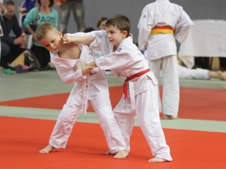 Judo-verseny - fotó: Sándor Judit