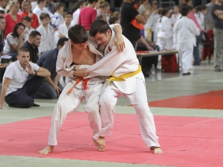 Judo-verseny - fotó: Sándor Judit