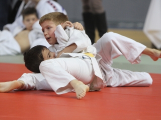 Judo-verseny - fotó: Sándor Judit