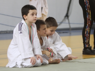 Judo-verseny - fotó: Sándor Judit