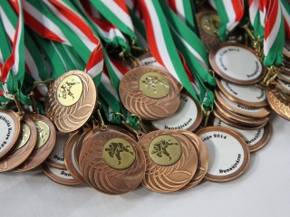 Judo-verseny - fotó: Sándor Judit